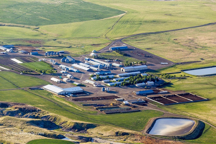 Hutterite Colony